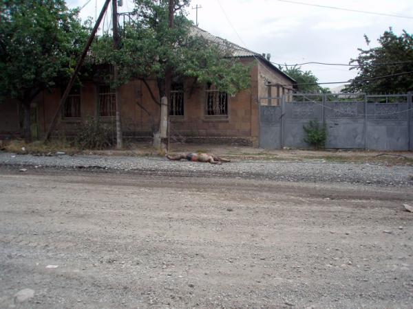 Война в Осетии 04
